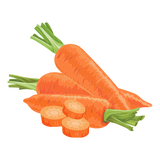 Carrot