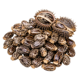 Castor Oil