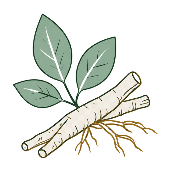 Made from Ashwagandha Root