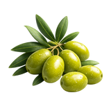 Olive Oil