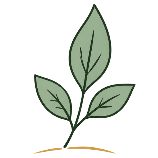 Single Herb Simplicity
