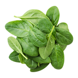 Spinach